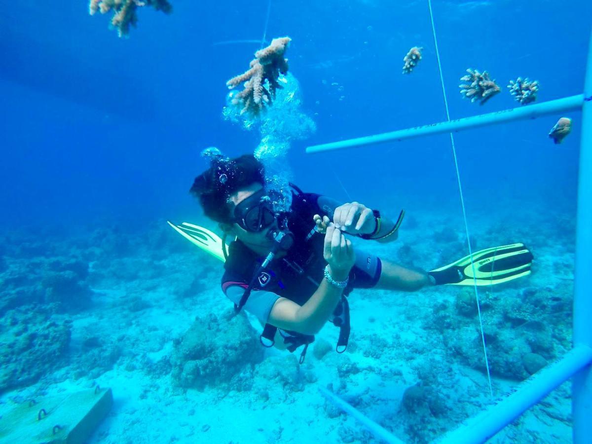 The Barefoot Eco Hotel Hanimaadhoo Island Buitenkant foto